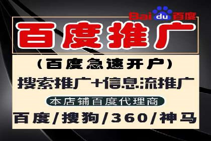 搜索引擎推广的佼佼者——百度搜索推广案例